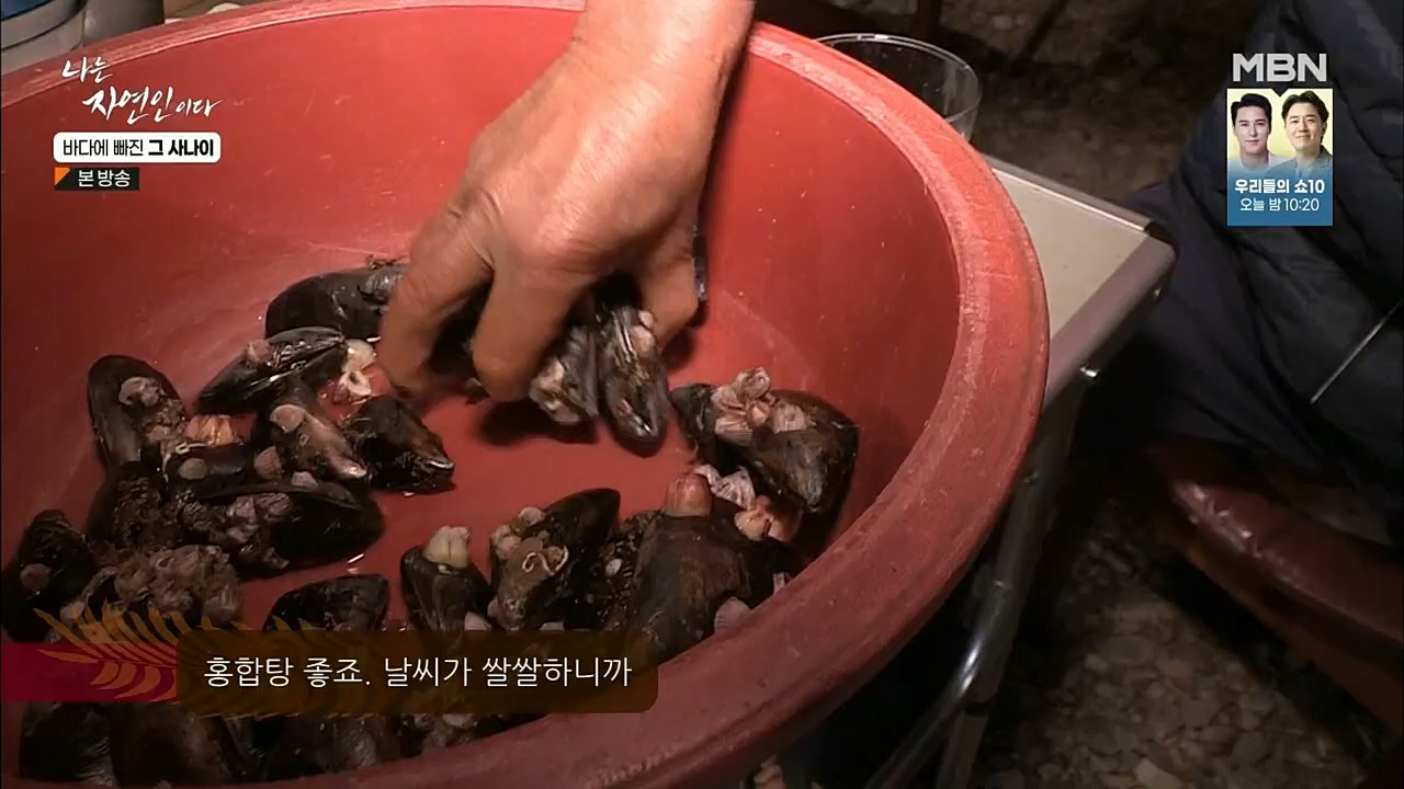 나는 자연인이다.E530.221131p.H264-F1RST.mp4_20221201_212039.930.jpg