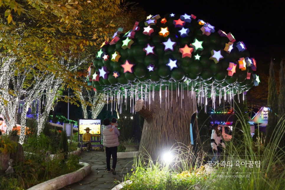 경북 축제 경북 아이와가볼만한곳 청도 19