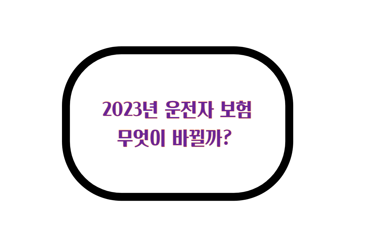  2023년 운전자 보험 가입 비교해보기 무엇이 바뀔까?