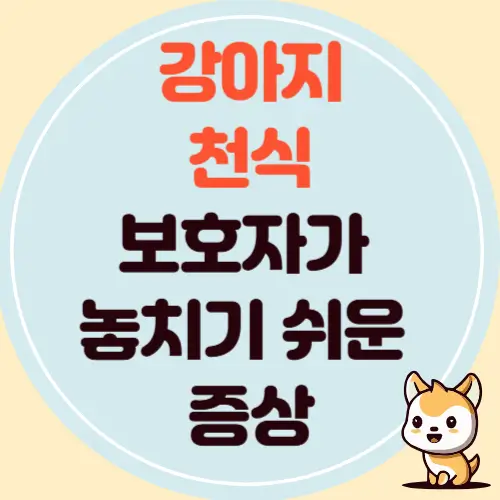 강아지 천식, 증상부터 진단, 비용, 예방까지 상세 가이드