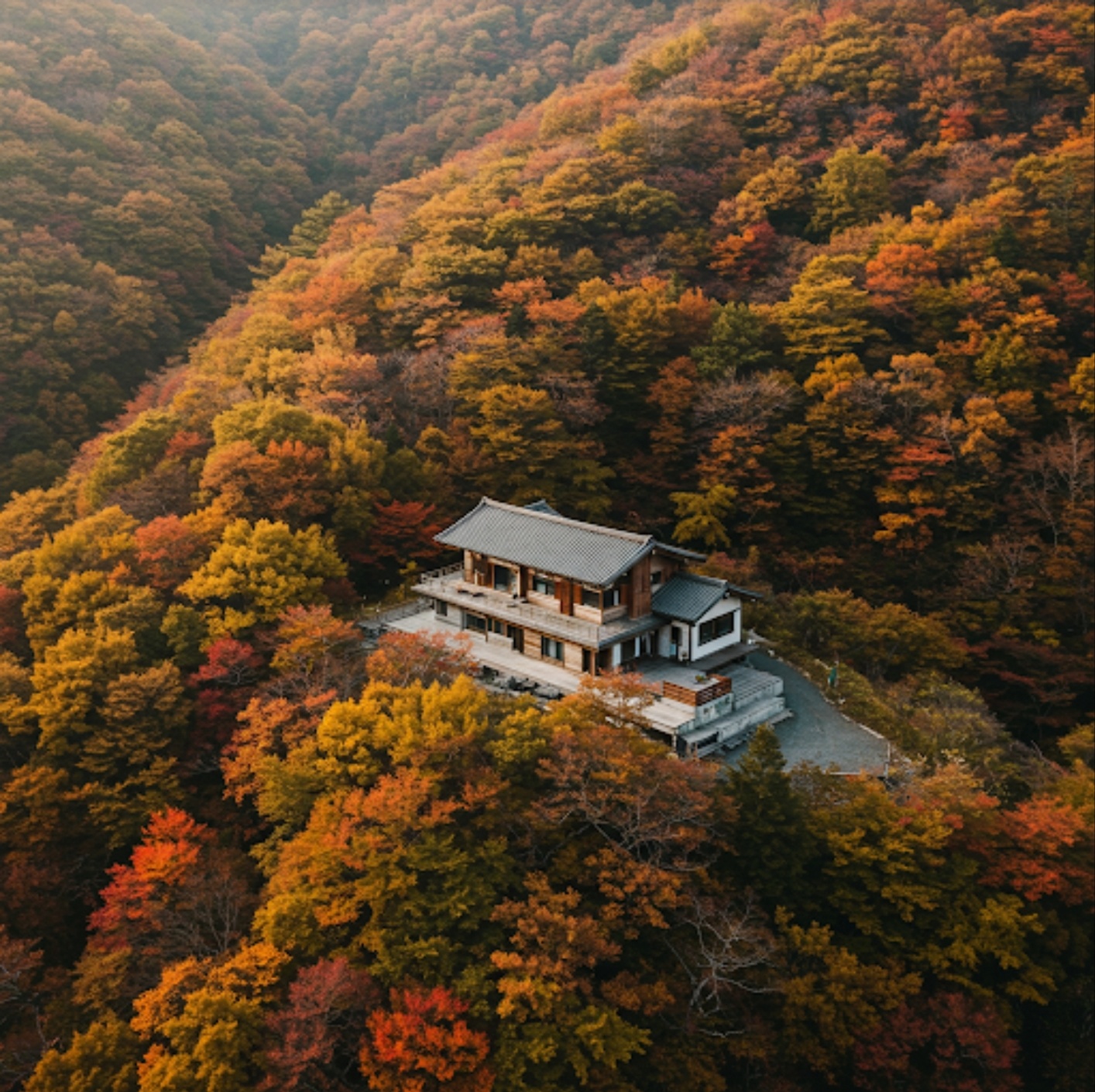 부동산 경매 공동 투자