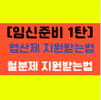  [임신 준비 1탄] 엽산제 및 철분제 지원방법 알아보기!