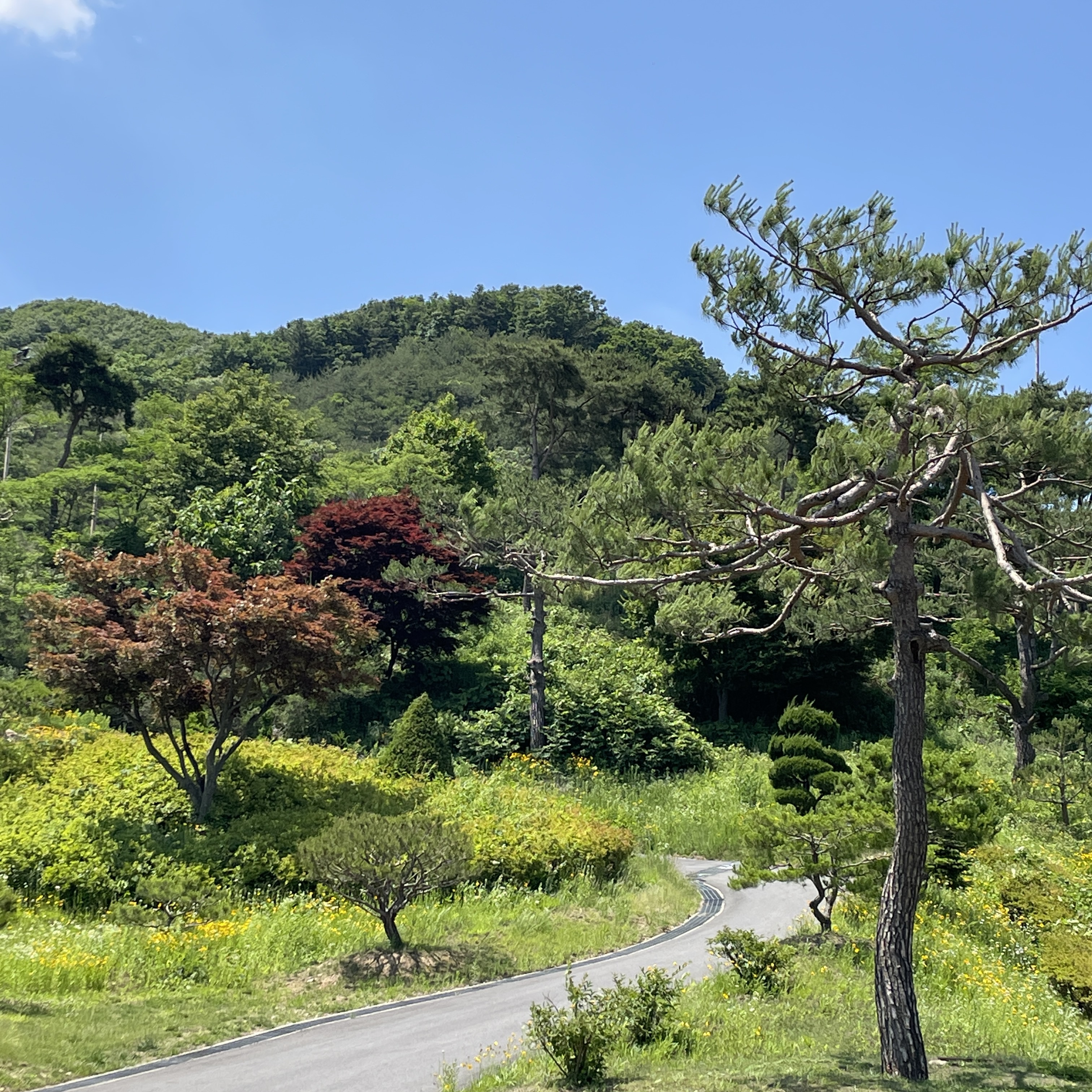 마론뉴데이