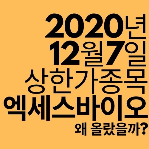  [상한가 종목] 엑세스바이오 (진단키트 미국 유통?)