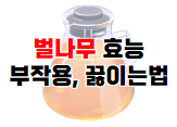 겨우살이의 14가지 이점, 부작용 및 추출 방법