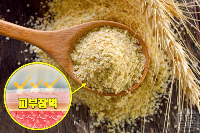 피부 장벽 회복 식품 : 밀배아 세라마이드 함량이 높은 식품