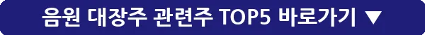 음원 대장주 관련주 TOP5_19