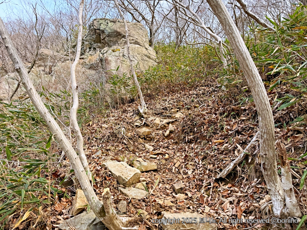 등산로-사진