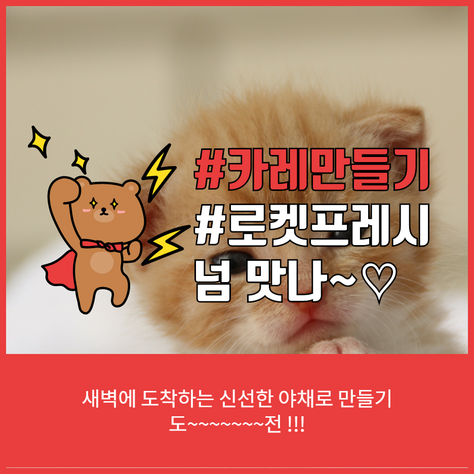  초간단 카레만들기(feat. 신선한 야채, 고기 배송 로켓 프레쉬 주문)