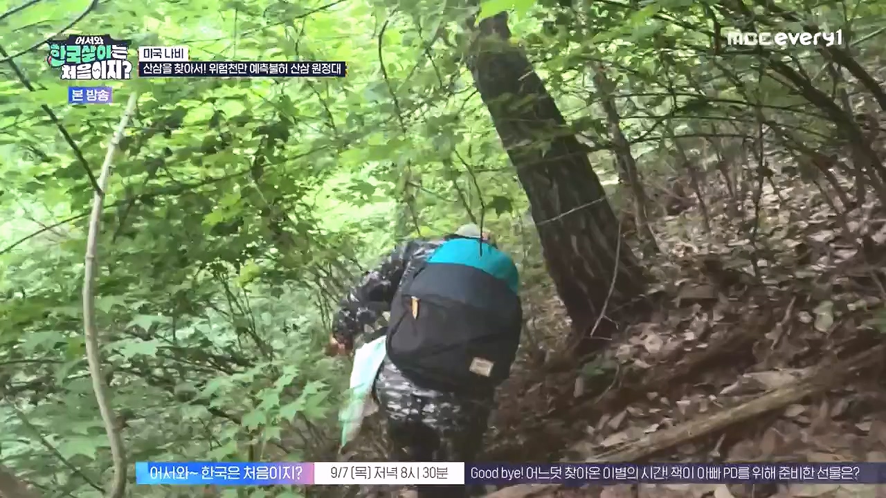 어서와 한국살이는 처음이지.E16.230905p-NEXT.mp4_20230906_204044.936.jpg