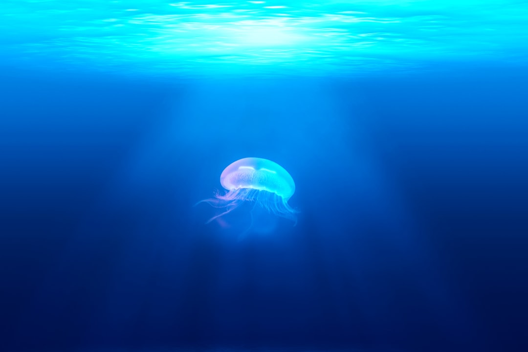 Marine.