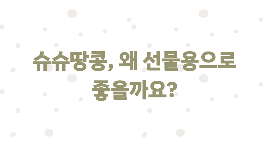 나트랑 슈슈땅콩 맛집탐험! 30가지 맛, 당신의 선택은? - 슈슈땅콩, 왜 선물용으로 좋을까요? 나트랑 슈슈땅콩 맛집탐험! 30가지 맛, 당신의 선택은? - 슈슈땅콩, 왜 선물용으로 좋을까요?