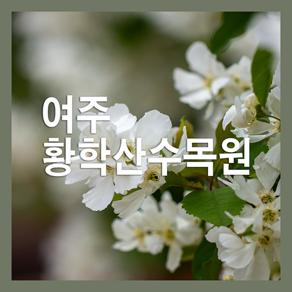 여주 황학산수목원