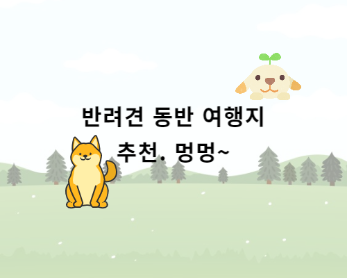  반려견 동반 여행지에서 함께 스트레스 풀어요. 멍멍.