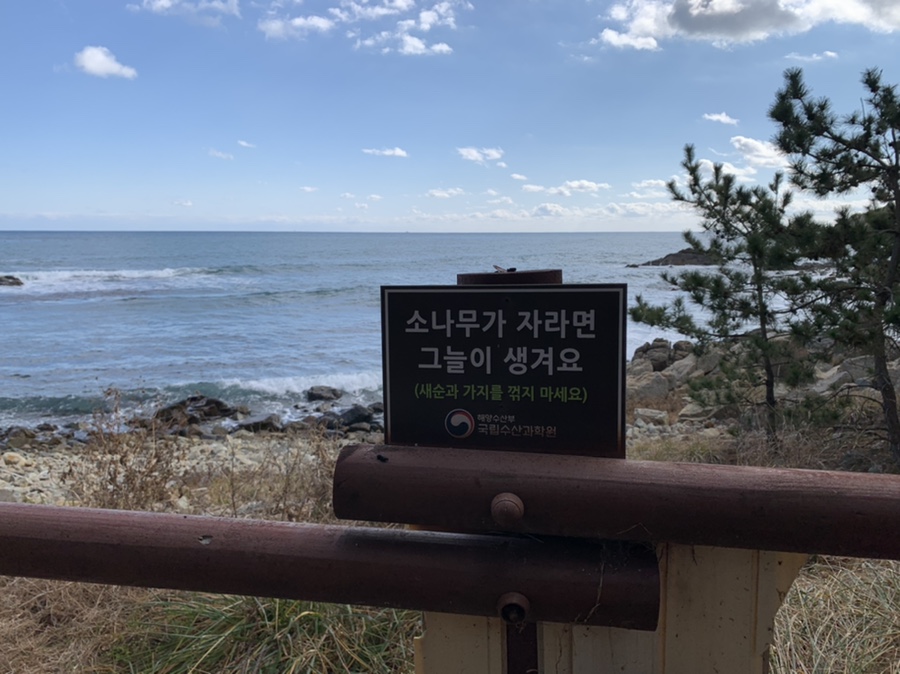 주차 꿀팁 (Hint : 해파랑길 2코스) 부산 여행 필수 코스! 해동용궁사 19