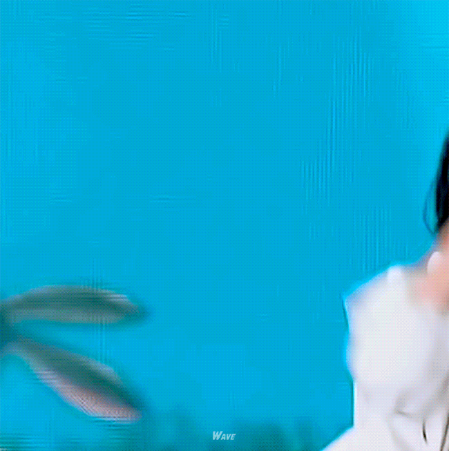 img.gif