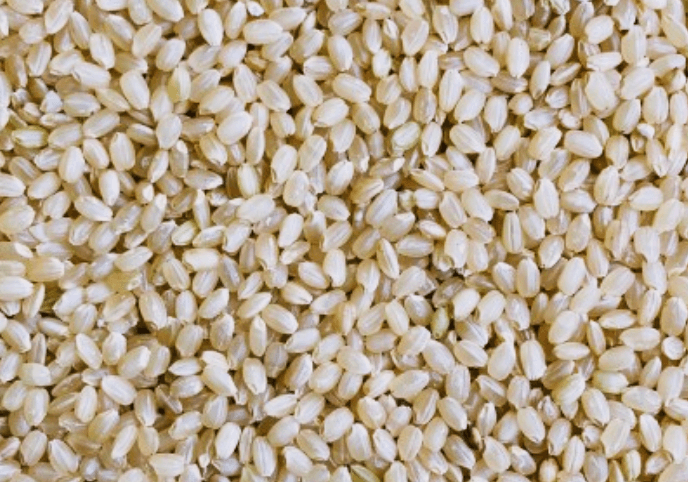 알알이-잘익은-현미쌀