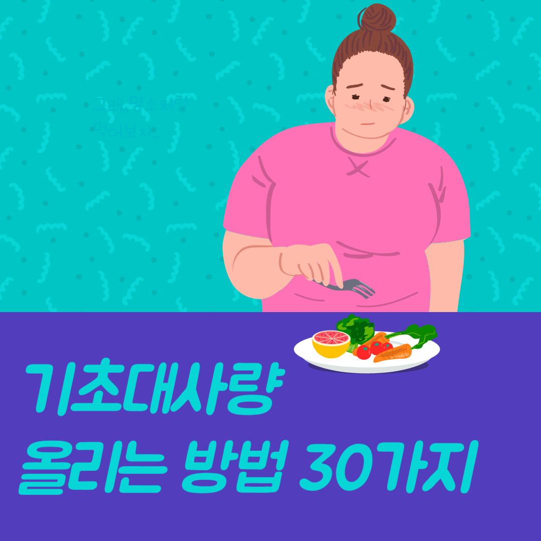 기초대사량 올리는 방법
