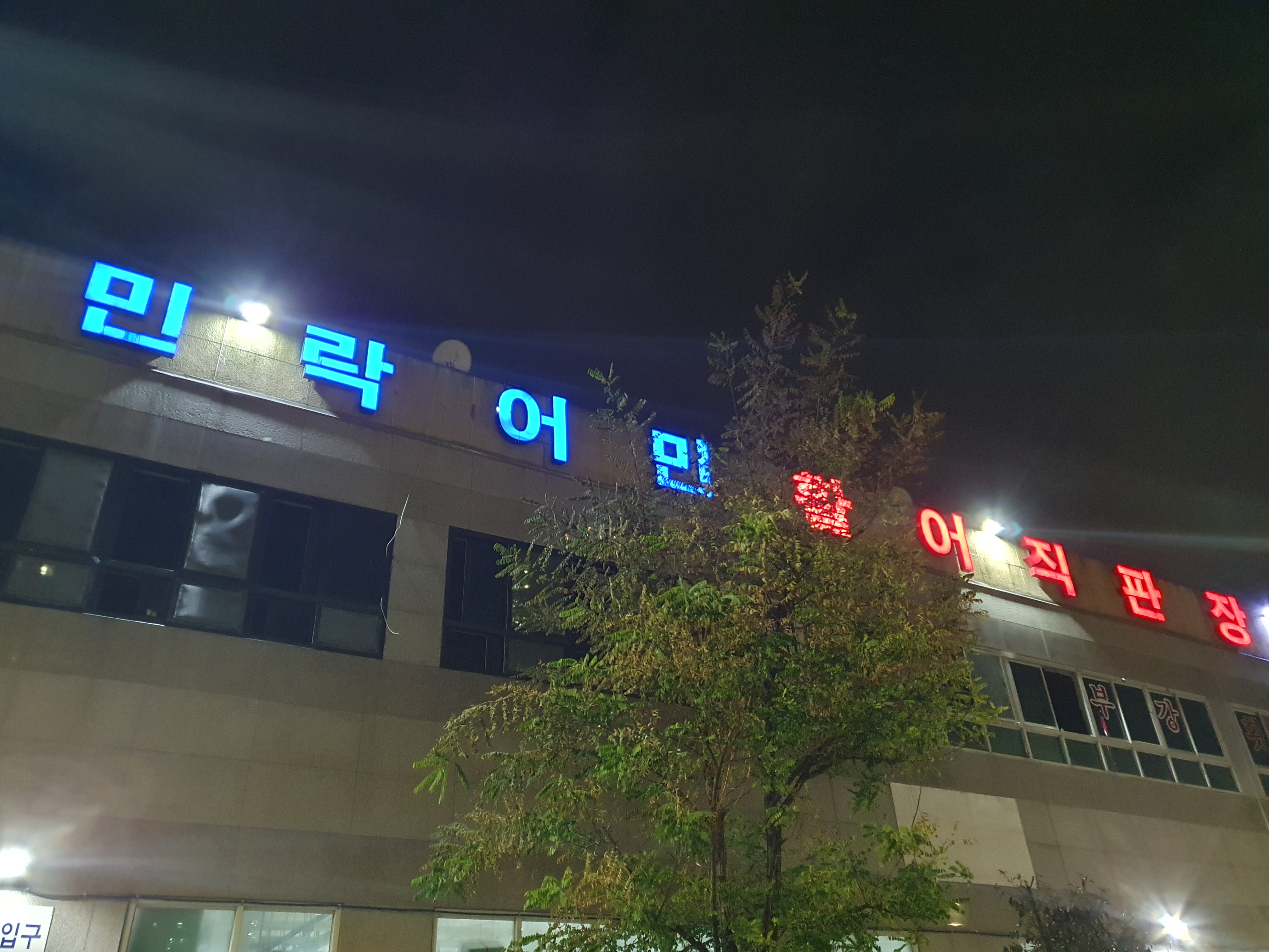  부산 광안리 회센터 민락어민활어직판장&초장집 후기 (민락회타운X)