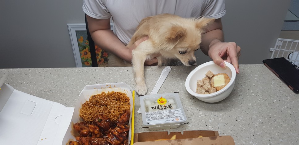 [강아지간식]허닭x핏펫몰 꼬꼬가슴살 맛있는 냄새로 10