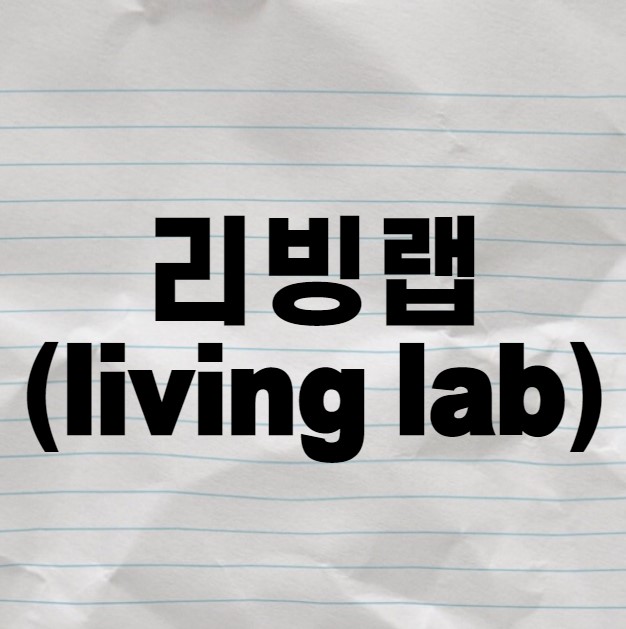 리빙랩(living lab)