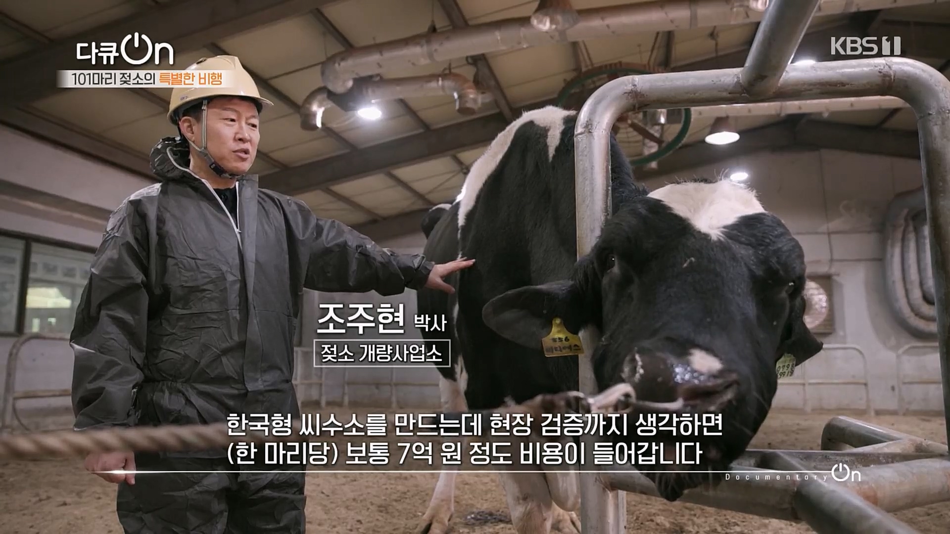 다큐 On.E184.230203p.H264-F1RST.mp4_20230211_174505.455.jpg