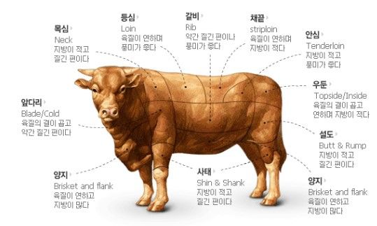 한우 이미지