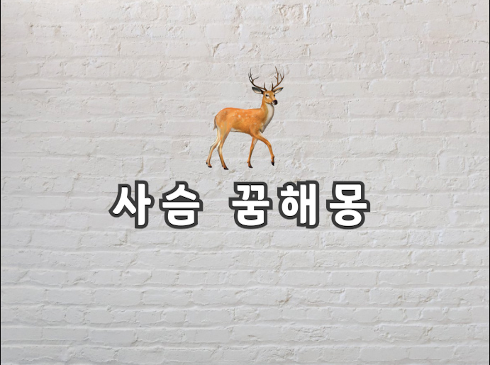  사슴 꿈 사슴에 꿈에 나왔다면 이 글을 보고 가세요