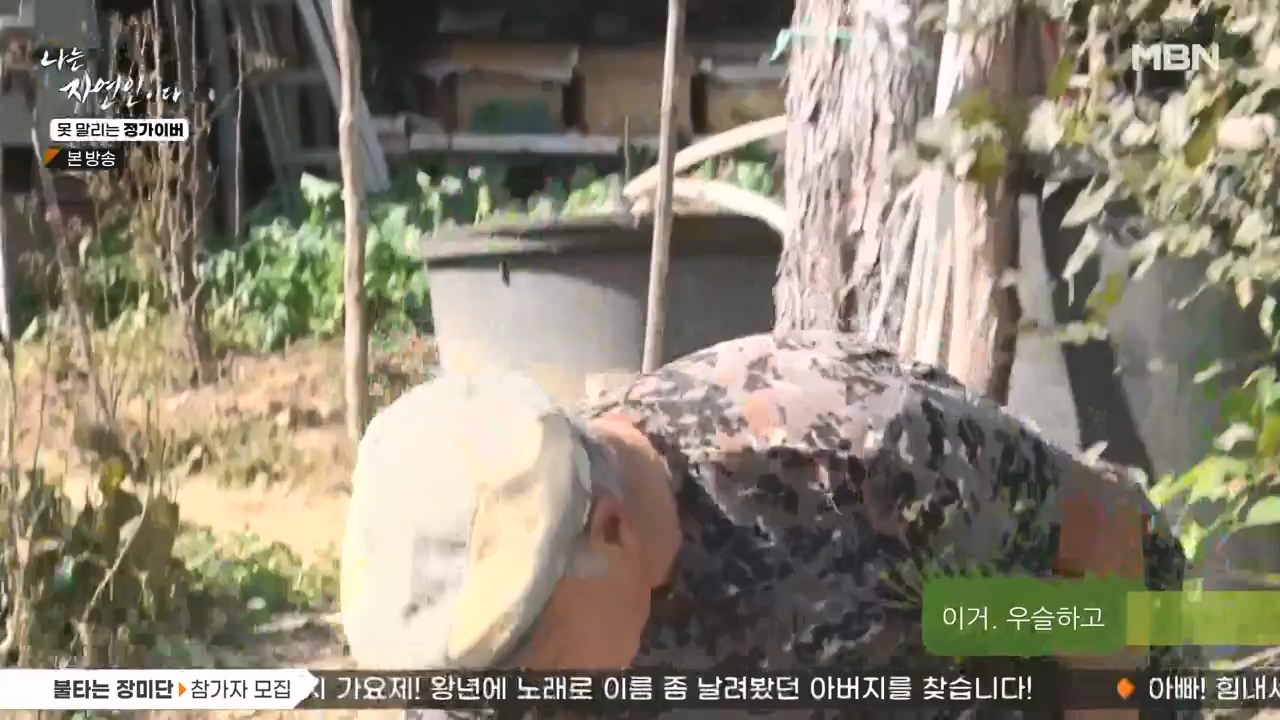 나는 자연인이다.E580.231116p-NEXT.mp4_20231116_202459.020.jpg