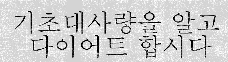  기초대사량과 기초대사량 늘리는 방법
