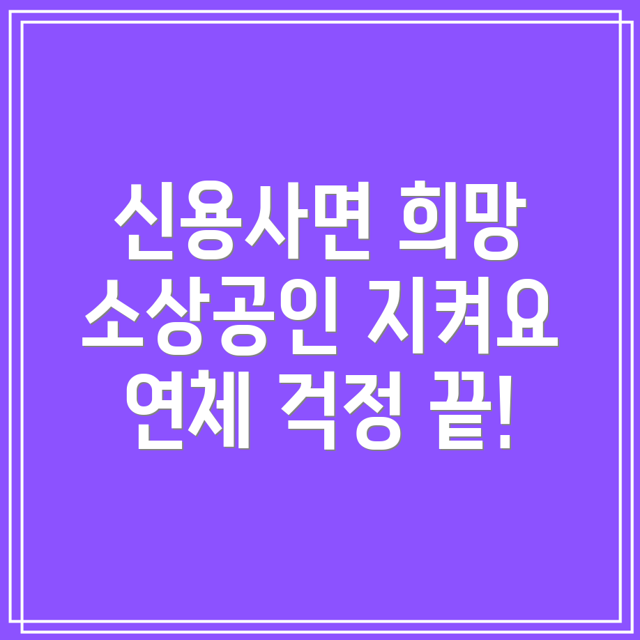 신용사면