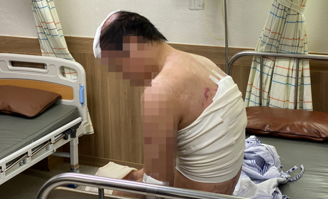   뚜뚜월드