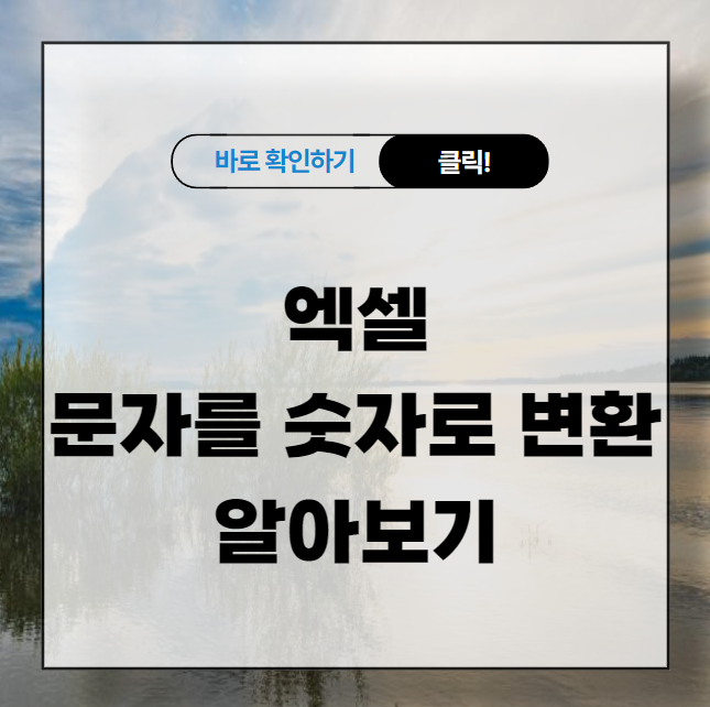 엑셀 문자를 숫자로 변환