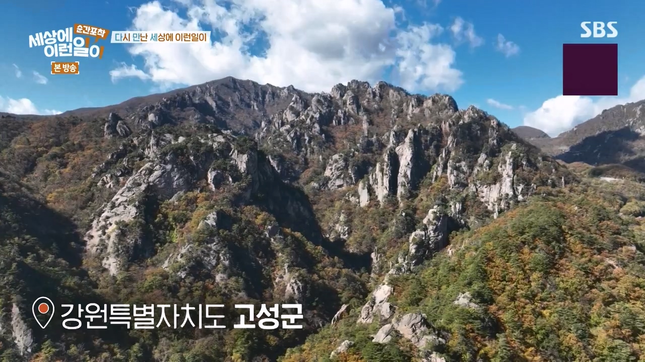 순간포착 세상에 이런일이.E1272.240407p-NEXT.mp4_20240407_175008.297.jpg