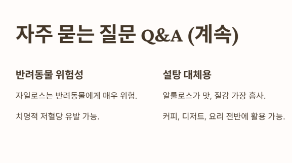 자주 묻는 질문 Q&amp;A 2