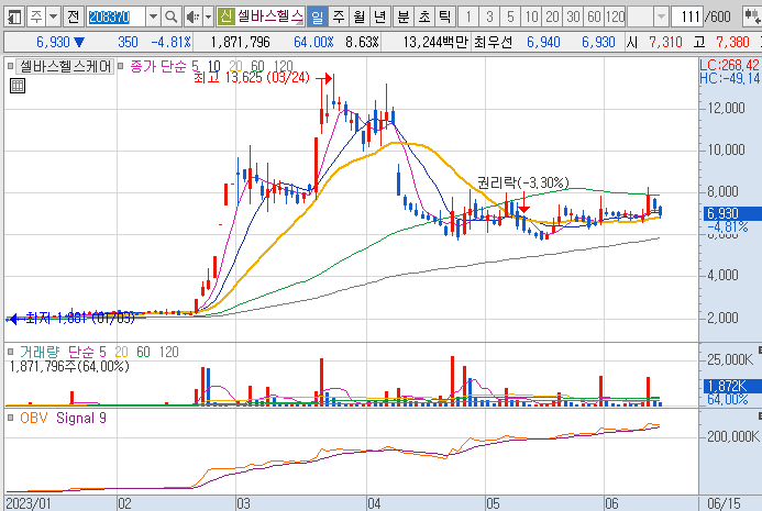 셀바스헬스케어-주가-흐름-차트