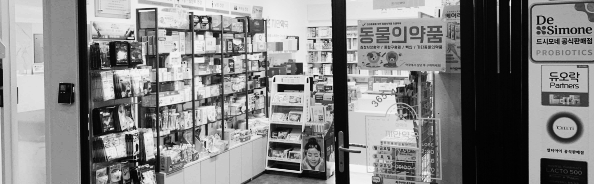 개국약사 월급: 800 ~ 900만 원 내외