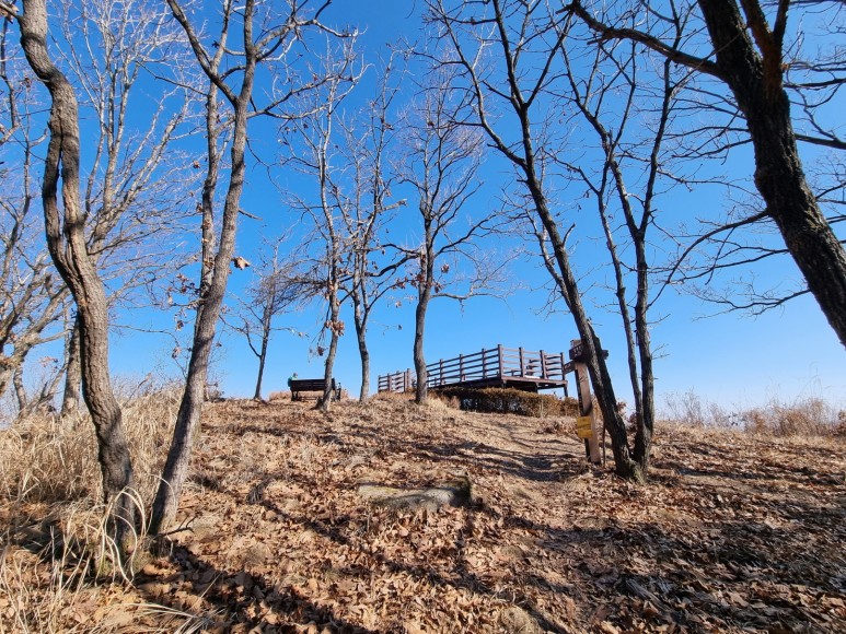  경산 구룡산 [구룡공소~구룡산~영천구룡산]