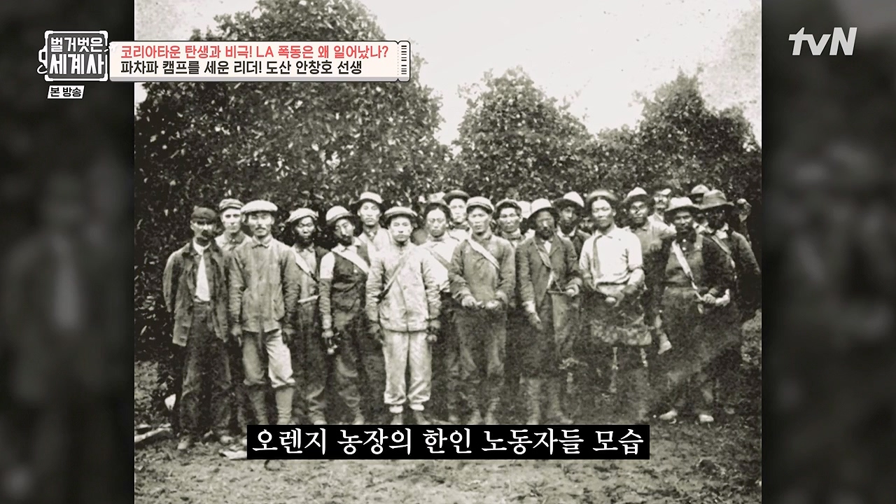 벌거벗은 세계사.E127.231129p-NEXT.mp4_20240608_171234.249.jpg