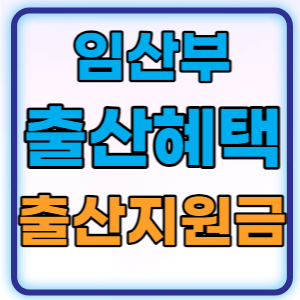 2024년 출산지원금과 임산부 출산혜택 총정리