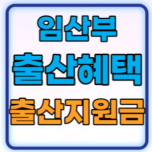  2024년 출산지원금과 임산부 출산혜택 총정리