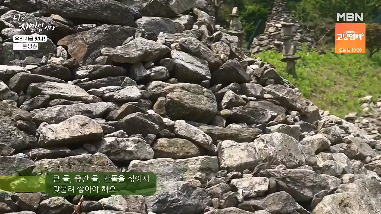 나는 자연인이다.E609.240613p-NEXT.mp4_20240613_195111.854.jpg