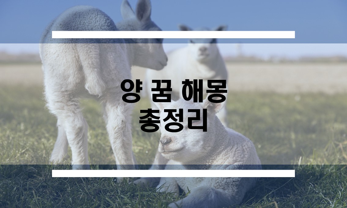  다양한 사례별 양꿈 해몽
