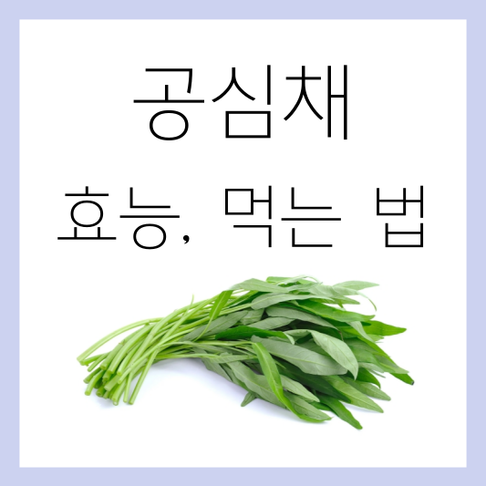 공심채 효능 먹는법