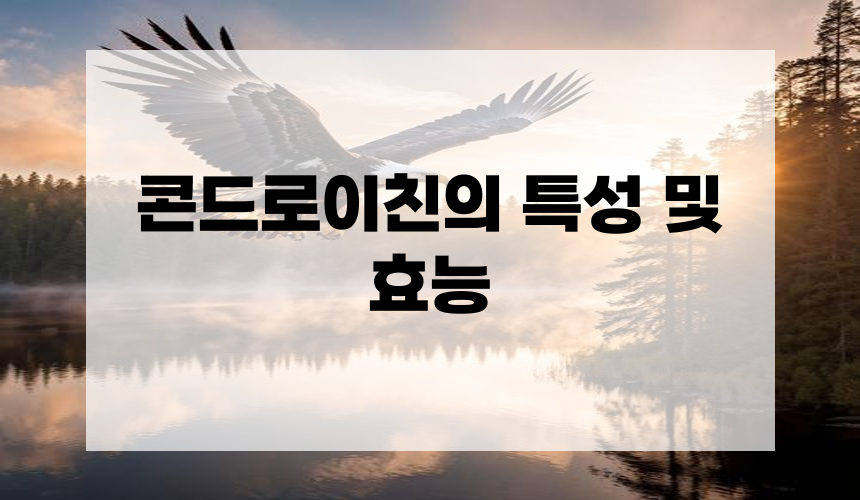 콘드로이친의 특성 및 효능