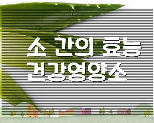 소 간의 효능 건강영양소