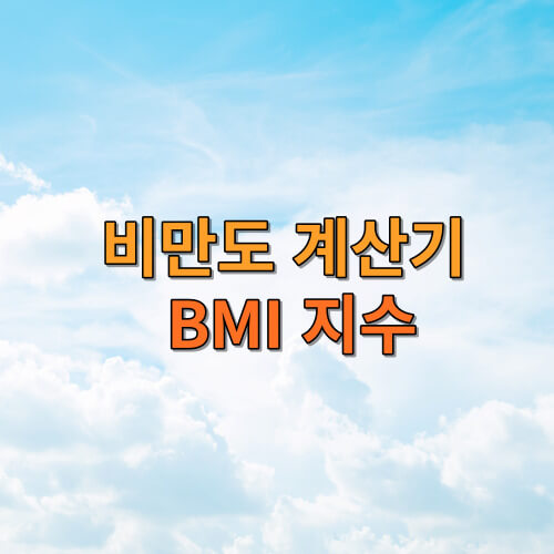 비만도 계산기&amp;#44; BMI 지수