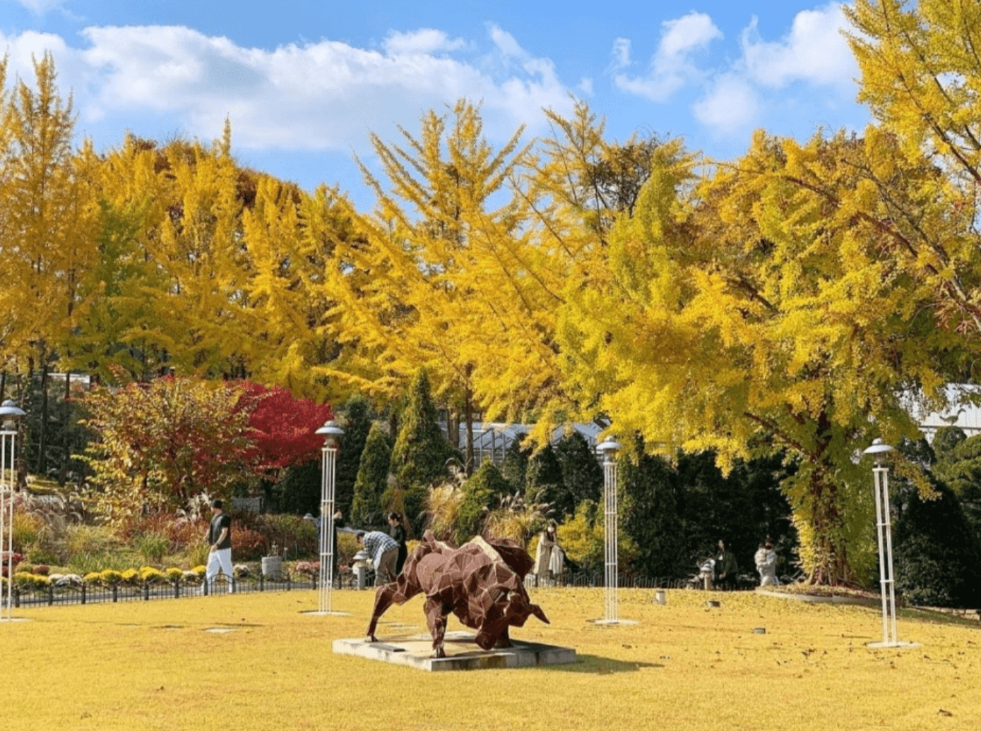 세종 베어트리파크 단풍 축제 기간 입장료 할인 정보