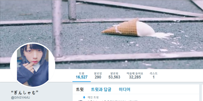  일본 트위터 타임라인을 떠들썩 하게 했던 어느 일본 미소녀 여중생? 여장남자 오토코노코 긴샤무(ぎんしゃむ )