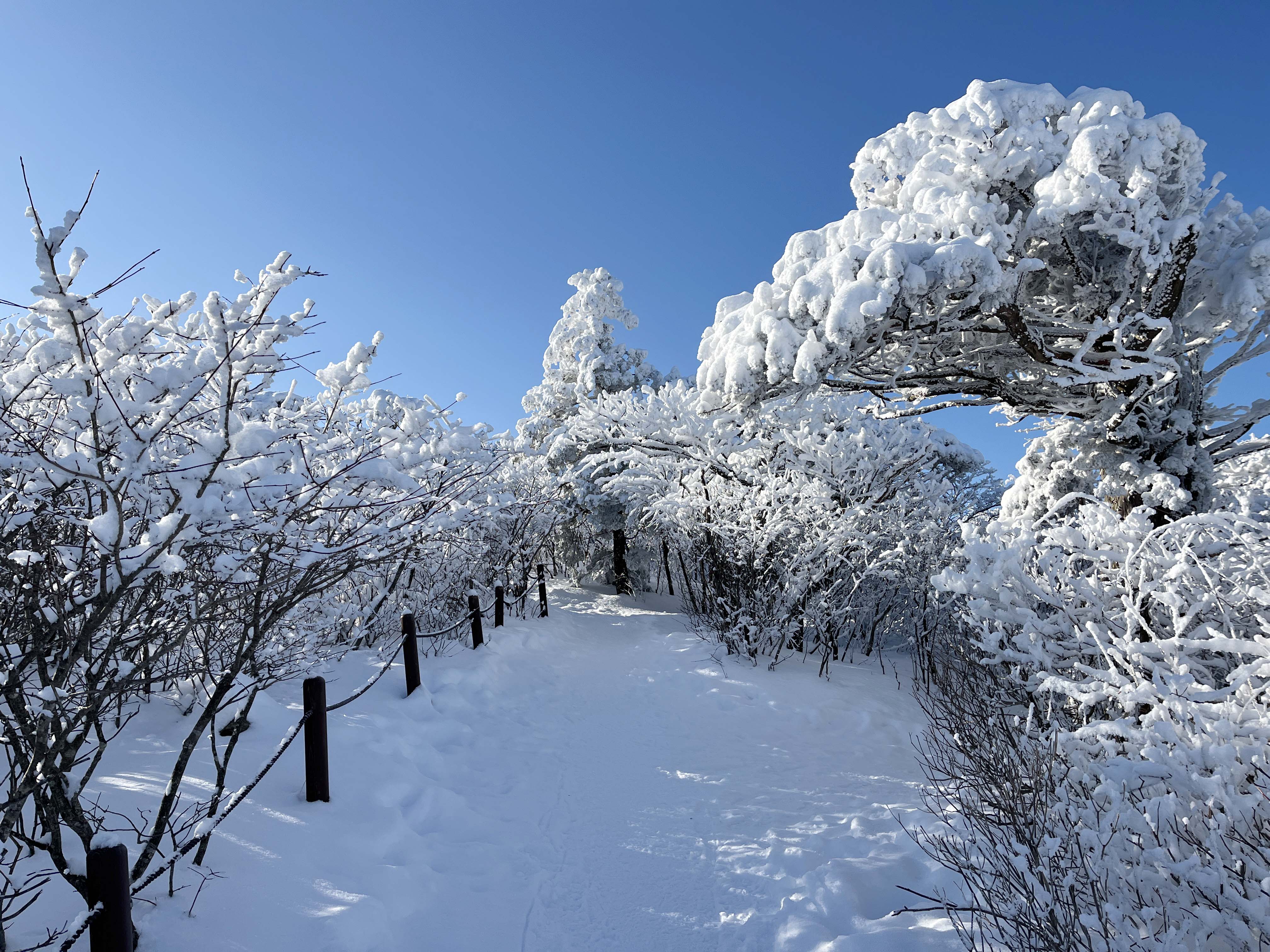 태백산